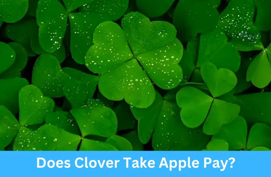 Does Clover Take Apple Pay