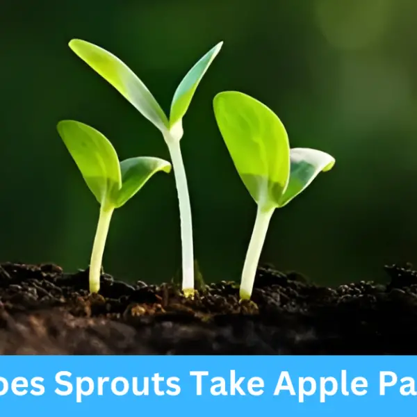 Does Sprouts Take Apple Pay