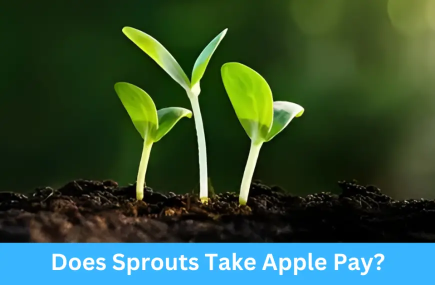 Does Sprouts Take Apple Pay