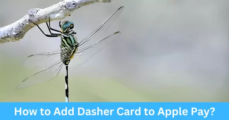 How to Add Dasher Card to Apple Pay