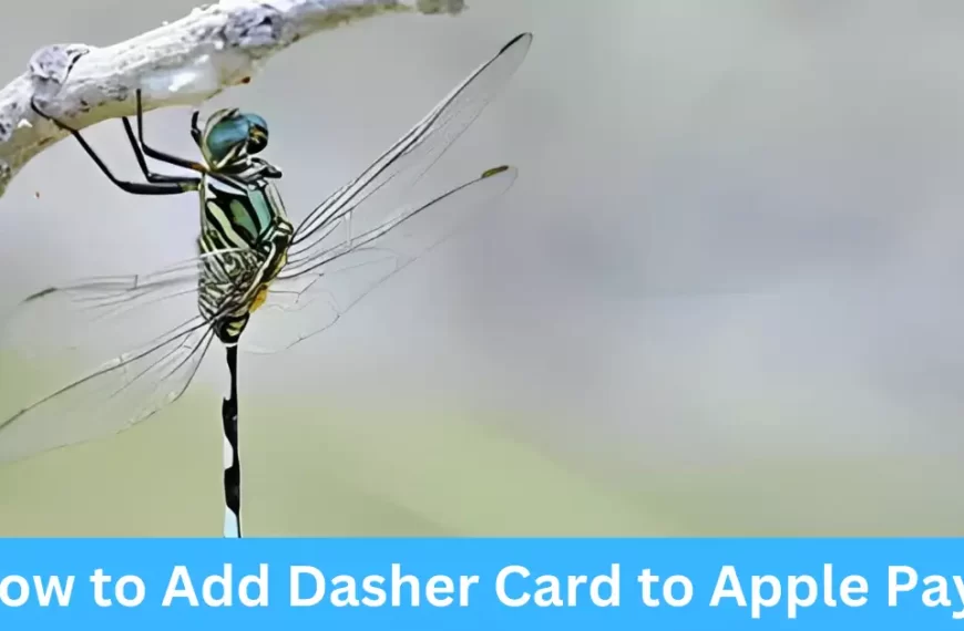 How to Add Dasher Card to Apple Pay