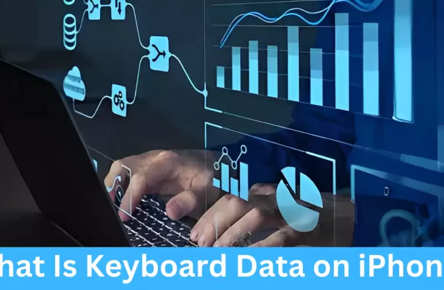 What Is Keyboard Data on iPhone