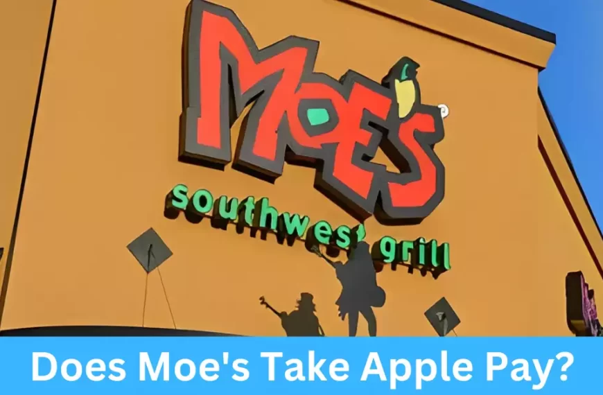 What is Moe's Southwest Grill